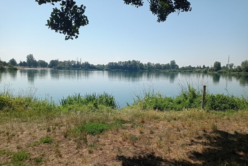 Vue panoramique du Lac de Reichstett
