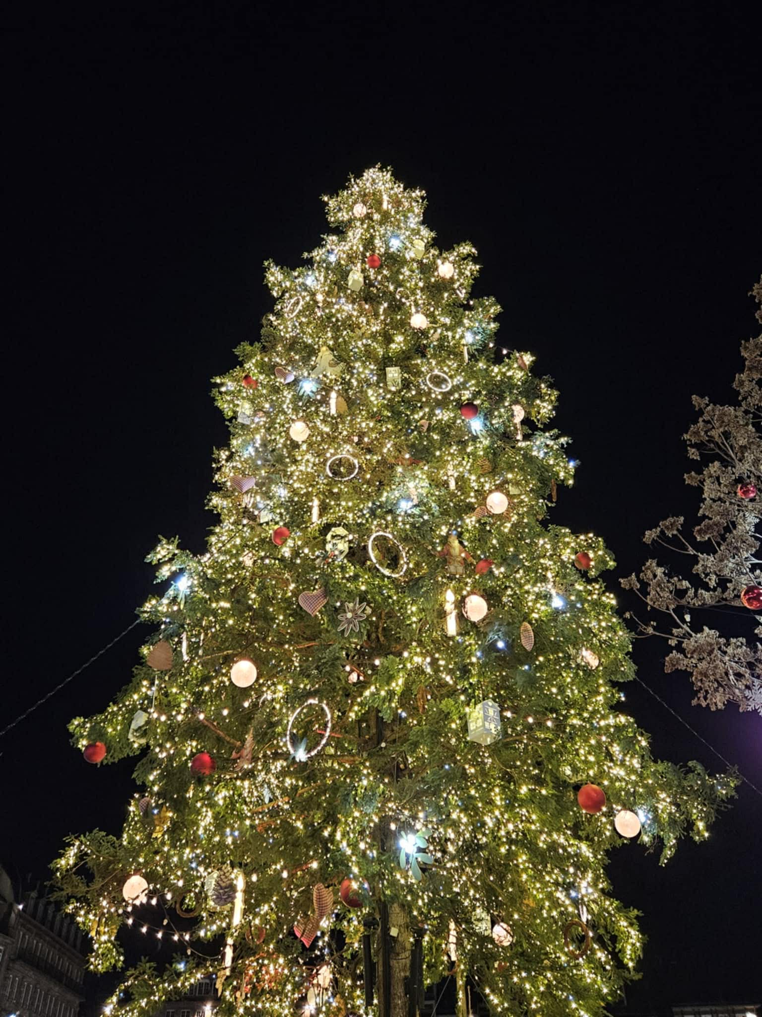 Grand sapin de Noël 2025 à Strasbourg